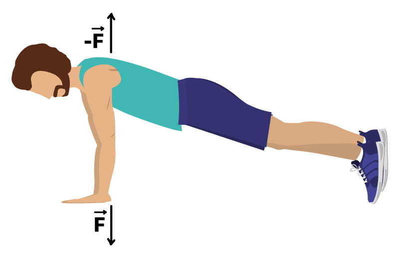 Pessoa fazendo flexão de braço com par ação e reação mostrado.