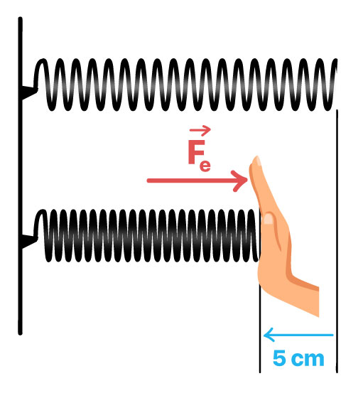 Mola sofre compressão de 5 cm