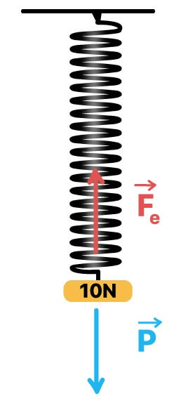 Soma das forças em uma mola vertical equilibrada