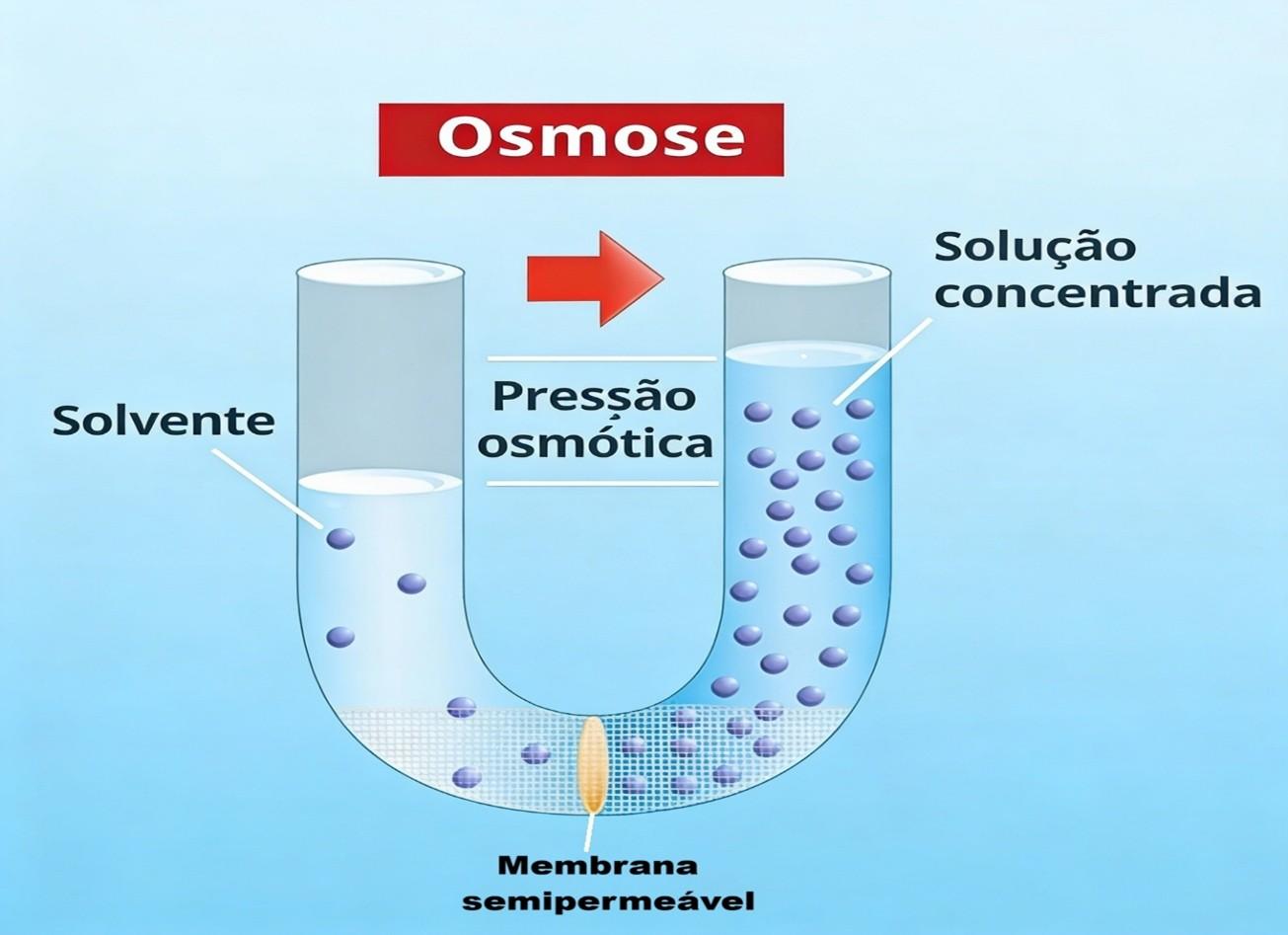 Ilustração de como ocorre o processo da osmose.